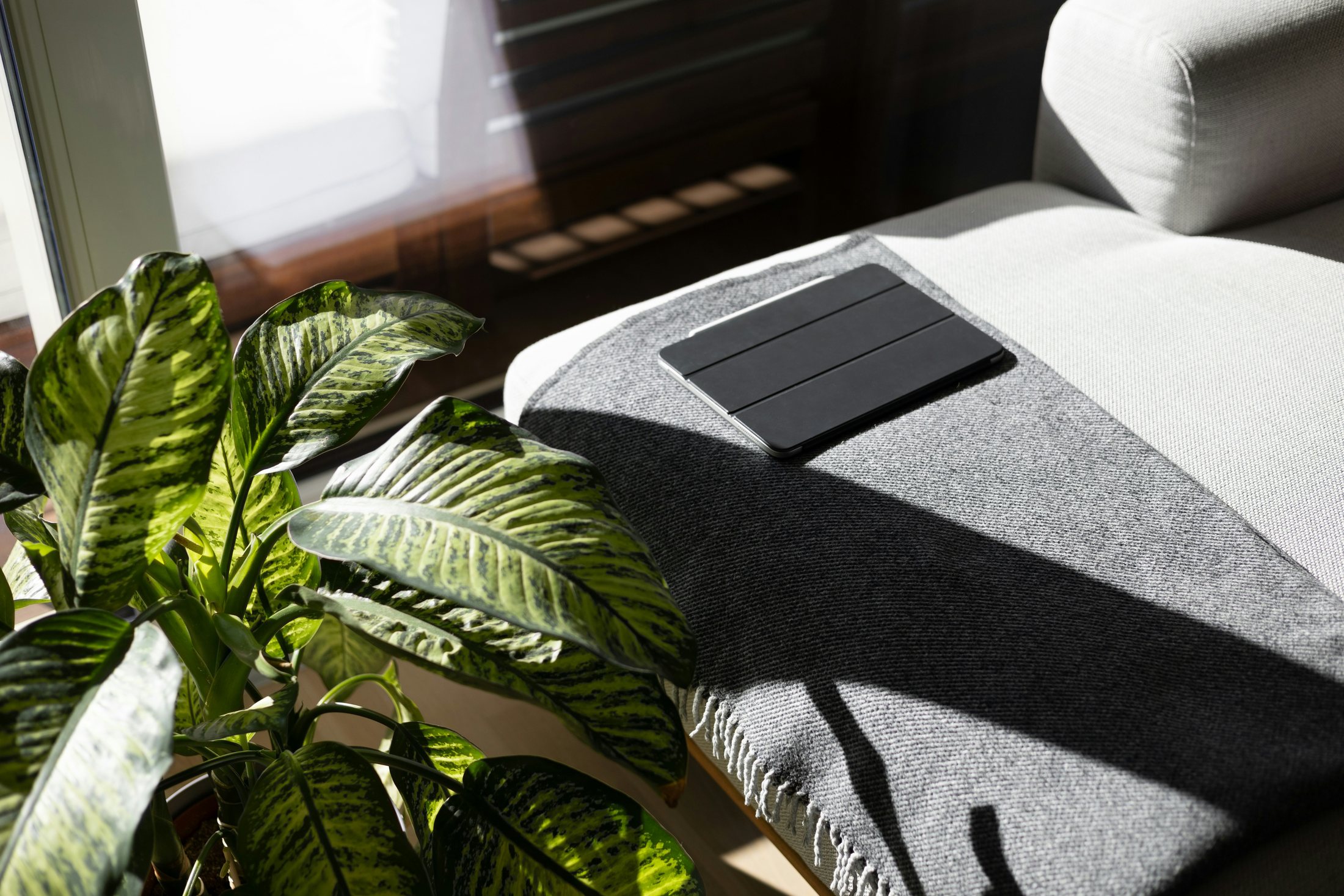Ruhiger Arbeitsplatz mit Tablet, Pflanze und Tageslicht