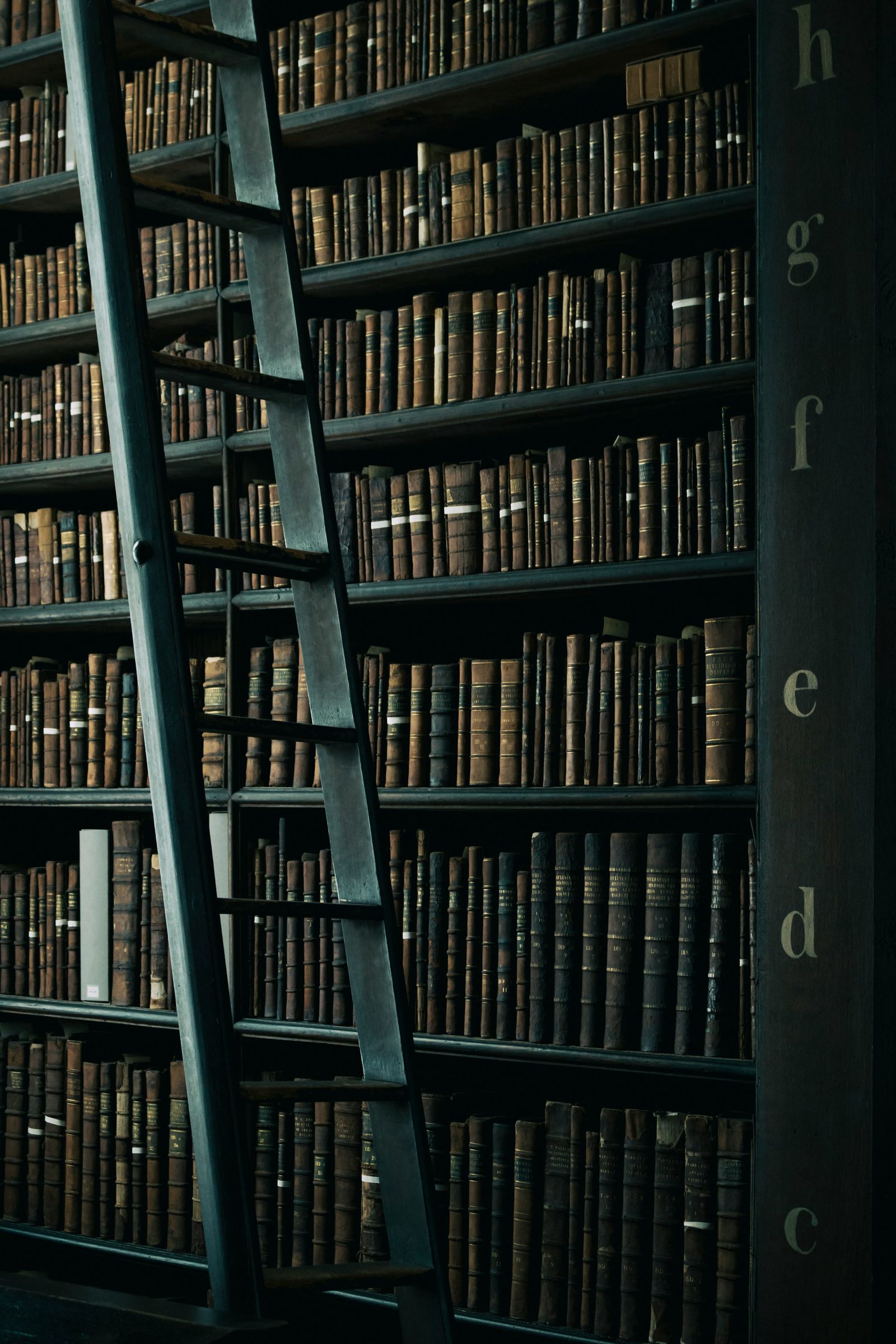 Bibliothek mit Leiter und geordneten Regalen als Sinnbild für getrennte Datenräume