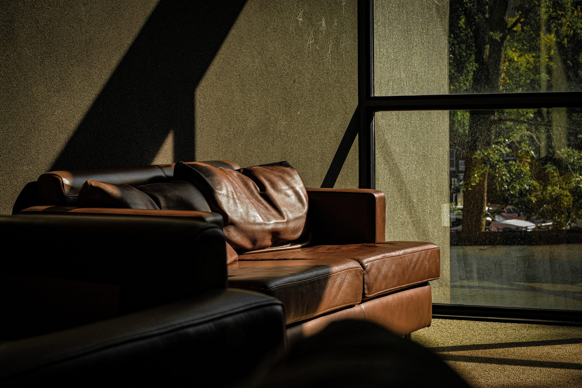 Ruhige Beratungssituation mit Sofa und Tageslicht